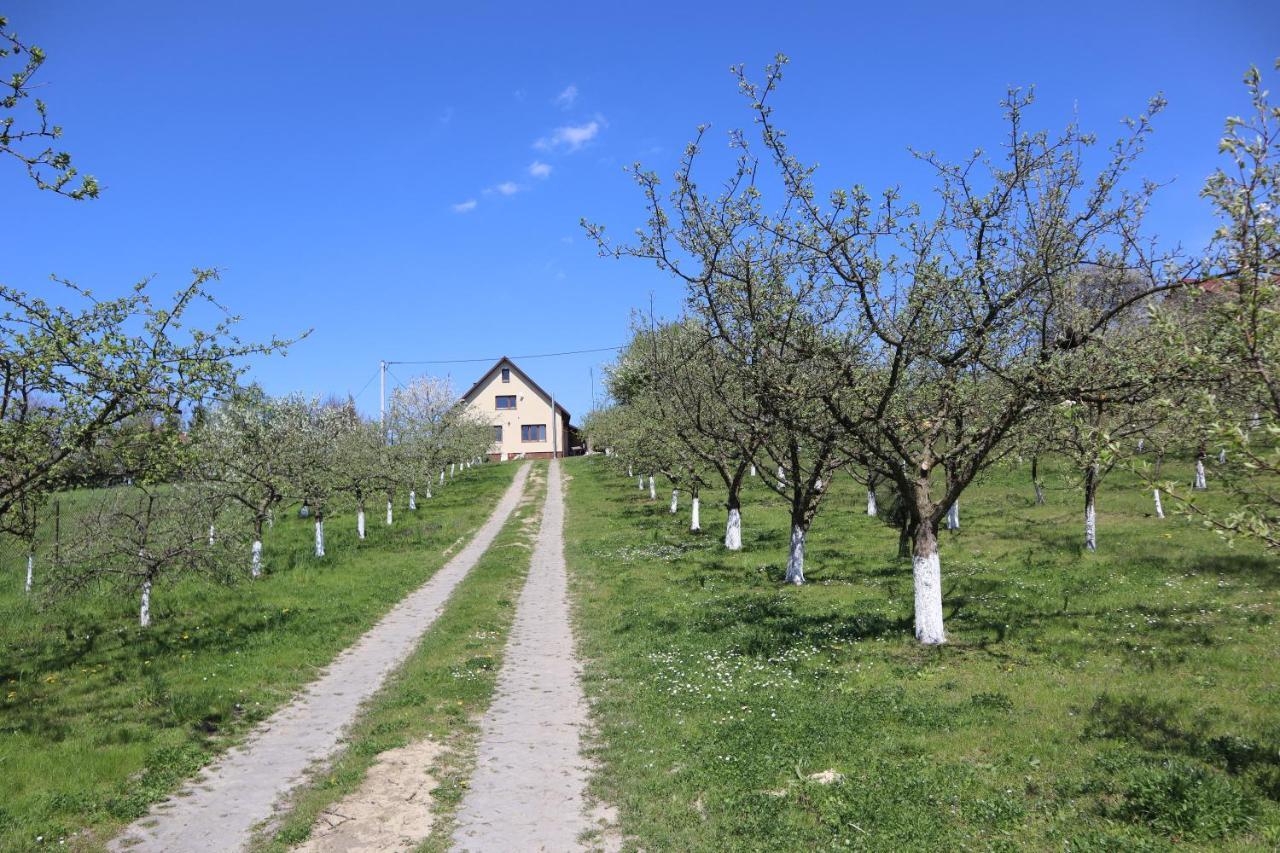 Fratole Villa Nielisz Bagian luar foto