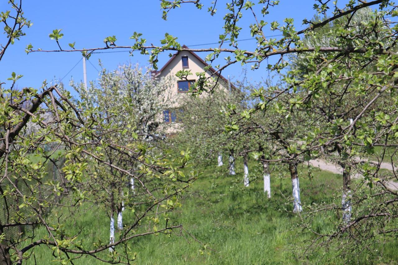 Fratole Villa Nielisz Bagian luar foto